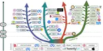 From Human Videos to Robot Manipulation: A Survey on Scalable Vision-Language-Action Learning with Human-centric Data
